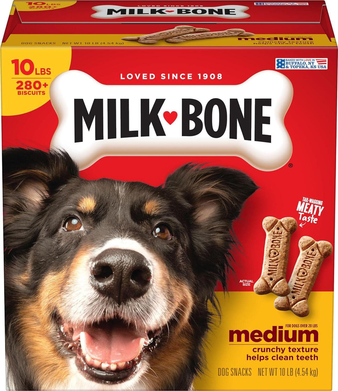 Milk-Bone Milk-Bone Original Dog Treats Biscuits for Medium Dogs, 10 Pound